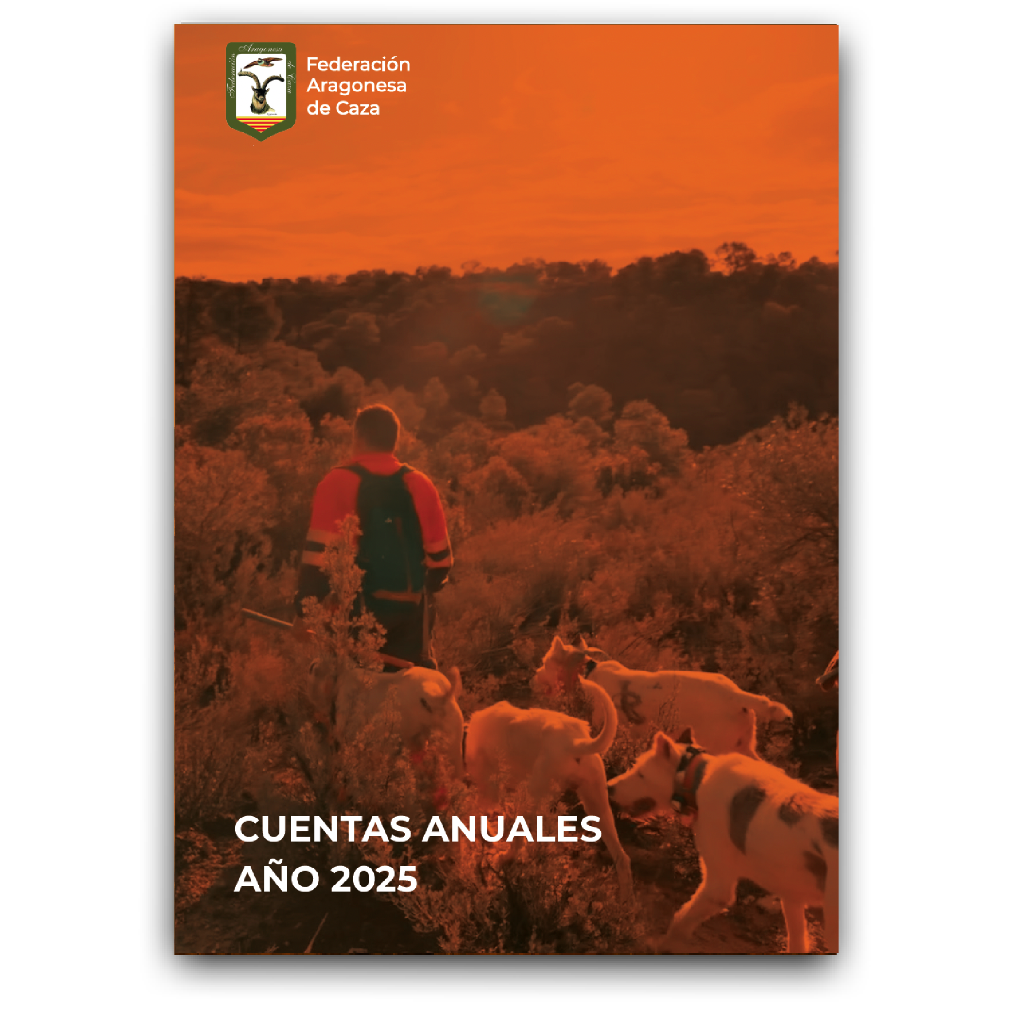 cuentas-anuales_2025